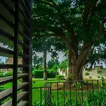 Medina *