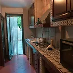 Medina * チェファル